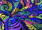 Dwukierunkowa dzianinowa tkanina Stretch Bright Neon Fluo Colors Printed Digital